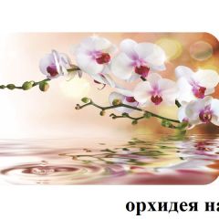 БОСТОН - 2 опоры Брифинг в Агрызе - agryz.mebel24.online | фото 4