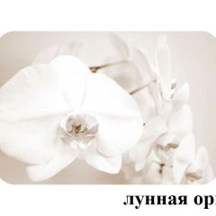 БОСТОН - 2 опоры Триумф в Агрызе - agryz.mebel24.online | фото 18