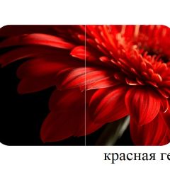 БОСТОН - 2 опоры Триумф в Агрызе - agryz.mebel24.online | фото 50
