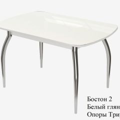 БОСТОН - 2 опоры Триумф в Агрызе - agryz.mebel24.online | фото 2