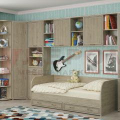 Детская Карина композиция 7 (Гикори Джексон светлый) в Агрызе - agryz.mebel24.online | фото