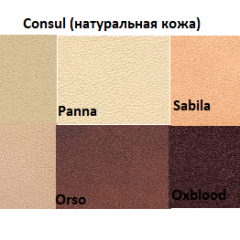 Диван двухместный Алекто Consul натуральная кожа в Агрызе - agryz.mebel24.online | фото 5