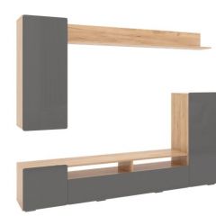 Гостиная Альфа (Дуб крафт золотой/Графит софт) в Агрызе - agryz.mebel24.online | фото