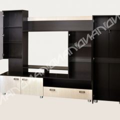 Гостиная Аллегро вариант-3 (Венге/Белфорт) в Агрызе - agryz.mebel24.online | фото 2