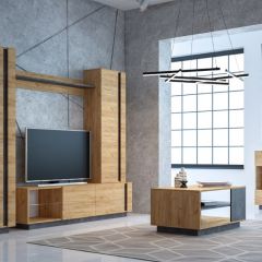 Гостиная Арчи (Дуб Золотой/Камень Темный) в Агрызе - agryz.mebel24.online | фото 2
