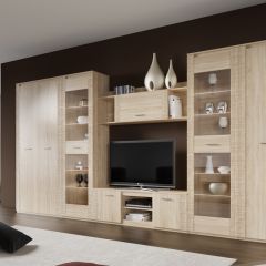 Гостиная Элана (модульная) в Агрызе - agryz.mebel24.online | фото 4