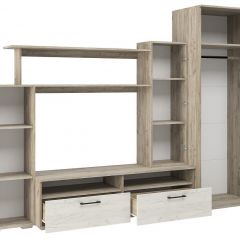 Гостиная Эмма (Дуб Крафт серый/белый) в Агрызе - agryz.mebel24.online | фото 3