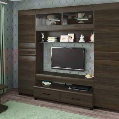 Гостиная Камелия Композиция 10 (Гикори Джексон темный) в Агрызе - agryz.mebel24.online | фото