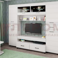 Гостиная Камелия Композиция 10 (Снежный ясень) в Агрызе - agryz.mebel24.online | фото
