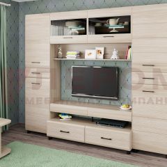 Гостиная Камелия Композиция 10 (Ясень Асахи) в Агрызе - agryz.mebel24.online | фото
