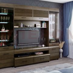 Гостиная Камелия Композиция 11 (Гикори Джексон темный) в Агрызе - agryz.mebel24.online | фото
