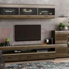 Гостиная Камелия Композиция 12 (Гикори Джексон темный) в Агрызе - agryz.mebel24.online | фото