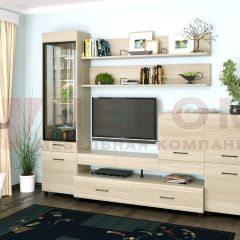 Гостиная Камелия Композиция 5 (Ясень Асахи) в Агрызе - agryz.mebel24.online | фото 1