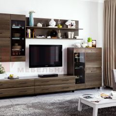 Гостиная Камелия Композиция 6 (Гикори Джексон темный) в Агрызе - agryz.mebel24.online | фото