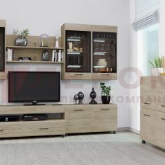 Гостиная Камелия Композиция 8 (Гикори Джексон светлый) в Агрызе - agryz.mebel24.online | фото 3