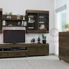 Гостиная Камелия Композиция 8 (Гикори Джексон темный) в Агрызе - agryz.mebel24.online | фото