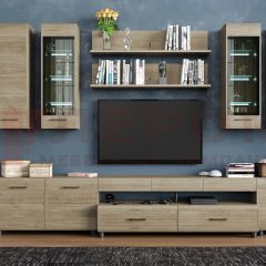Гостиная Камелия Композиция 9 (Гикори Джексон светлый) в Агрызе - agryz.mebel24.online | фото