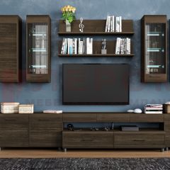 Гостиная Камелия Композиция 9 (Гикори Джексон темный) в Агрызе - agryz.mebel24.online | фото
