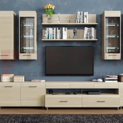 Гостиная Камелия Композиция 9 (Ясень Асахи) в Агрызе - agryz.mebel24.online | фото