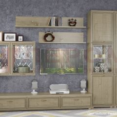 Гостиная Карина Композиция 1 (Гикори Джексон светлый) в Агрызе - agryz.mebel24.online | фото