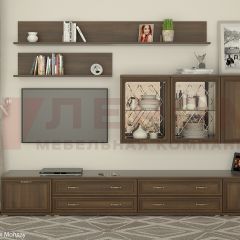 Гостиная Карина Композиция 10 (Акация Молдау) в Агрызе - agryz.mebel24.online | фото 1