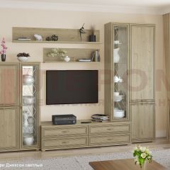 Гостиная Карина Композиция 12 (Гикори Джексон светлый) в Агрызе - agryz.mebel24.online | фото