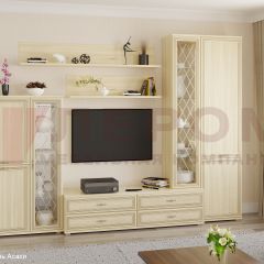 Гостиная Карина Композиция 12 (Ясень Асахи) в Агрызе - agryz.mebel24.online | фото