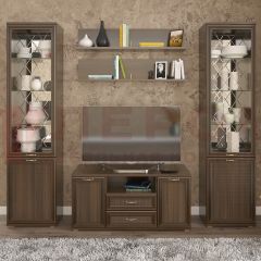 Гостиная Карина Композиция 13 (Акация Молдау) в Агрызе - agryz.mebel24.online | фото 1