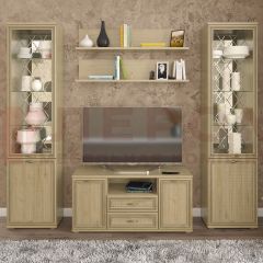 Гостиная Карина Композиция 13 (Гикори Джексон светлый) в Агрызе - agryz.mebel24.online | фото