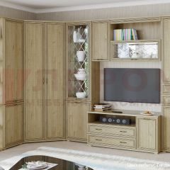 Гостиная Карина Композиция 18 (Гикори Джексон светлый) в Агрызе - agryz.mebel24.online | фото