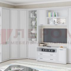 Гостиная Карина Композиция 18 (Снежный ясень) в Агрызе - agryz.mebel24.online | фото