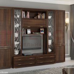 Гостиная Карина Композиция 19 (Акация Молдау) в Агрызе - agryz.mebel24.online | фото 5