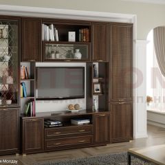 Гостиная Карина Композиция 2 (Акация Молдау) в Агрызе - agryz.mebel24.online | фото