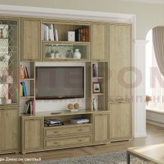 Гостиная Карина Композиция 2 (Гикори Джексон светлый) в Агрызе - agryz.mebel24.online | фото