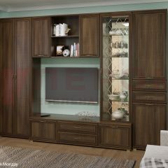 Гостиная Карина Композиция 21 (Акация Молдау) в Агрызе - agryz.mebel24.online | фото