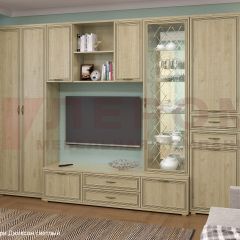 Гостиная Карина Композиция 21 (Гикори Джексон светлый) в Агрызе - agryz.mebel24.online | фото 6