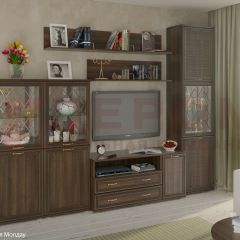 Гостиная Карина Композиция 22 (Акация Молдау) в Агрызе - agryz.mebel24.online | фото 1