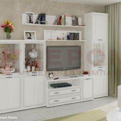 Гостиная Карина Композиция 22 (Снежный ясень) в Агрызе - agryz.mebel24.online | фото 1