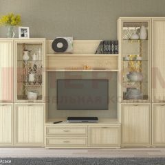 Гостиная Карина Композиция 24 (Ясень Асахи) в Агрызе - agryz.mebel24.online | фото