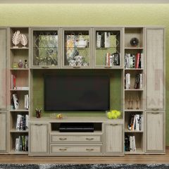 Гостиная Карина Композиция 25 (Гикори Джексон светлый) в Агрызе - agryz.mebel24.online | фото