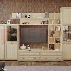 Гостиная Карина Композиция 5 (Ясень Асахи) в Агрызе - agryz.mebel24.online | фото