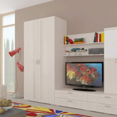 Гостиная ЛОТОС (модульная) Бодега белая в Агрызе - agryz.mebel24.online | фото 6