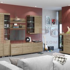 Гостиная Мелисса Композиция 7 (Гикори Джексон светлый) в Агрызе - agryz.mebel24.online | фото 9