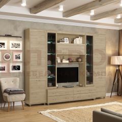 Гостиная Мелисса Композиция 9 (Гикори Джексон светлый) в Агрызе - agryz.mebel24.online | фото 4