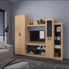 Гостиная Оскар 4 (Сосна белая Лофт/Венге) в Агрызе - agryz.mebel24.online | фото 3