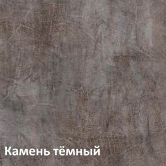 Крафт Полка для обуви 15.63 в Агрызе - agryz.mebel24.online | фото 4