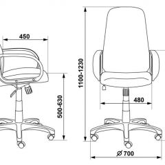 Кресло руководителя Бюрократ CH-808AXSN/G темно-серый 3C1 в Агрызе - agryz.mebel24.online | фото 3