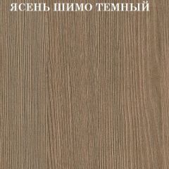 Кровать 2-х ярусная с диваном Карамель 75 (Музыка) Ясень шимо светлый/темный в Агрызе - agryz.mebel24.online | фото 5