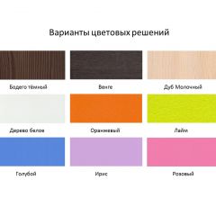 Кровать 2-х ярусная Юниор 1 без бортика (800*1900) Белое дерево, Анкор темный, Венге, Дуб сонома в Агрызе - agryz.mebel24.online | фото 4