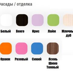 Кровать выкатная Соник (800*1900) в Агрызе - agryz.mebel24.online | фото 11